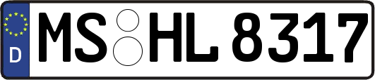 MS-HL8317