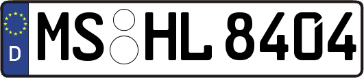 MS-HL8404