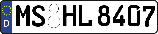 MS-HL8407