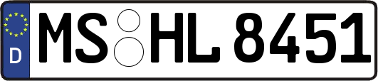 MS-HL8451
