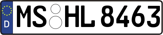 MS-HL8463