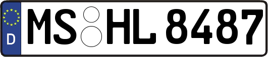 MS-HL8487