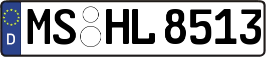 MS-HL8513