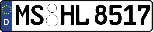 MS-HL8517