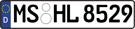 MS-HL8529