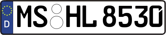 MS-HL8530