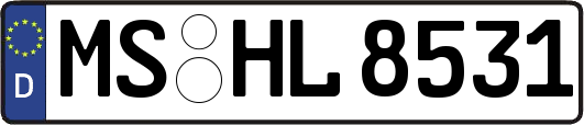 MS-HL8531