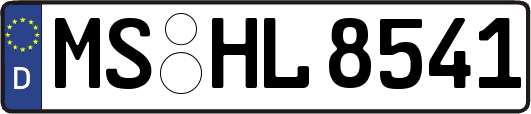 MS-HL8541