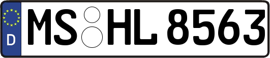 MS-HL8563