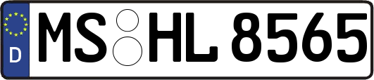 MS-HL8565