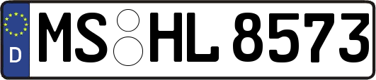 MS-HL8573