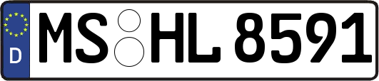 MS-HL8591
