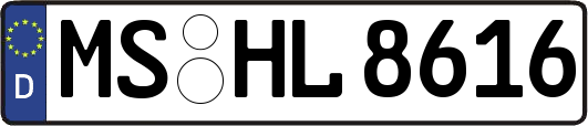 MS-HL8616