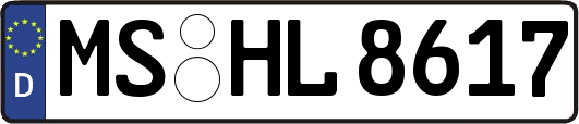 MS-HL8617