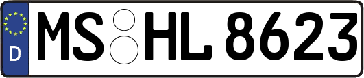 MS-HL8623