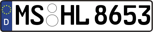MS-HL8653
