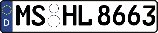 MS-HL8663