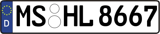 MS-HL8667