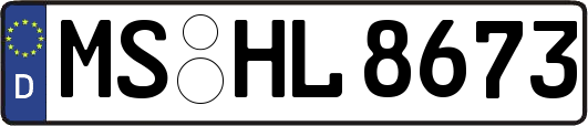 MS-HL8673
