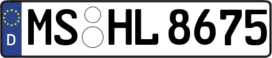 MS-HL8675