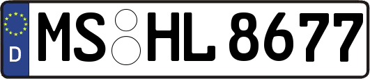 MS-HL8677