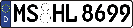 MS-HL8699