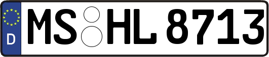 MS-HL8713