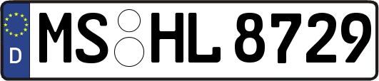 MS-HL8729