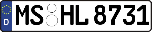 MS-HL8731