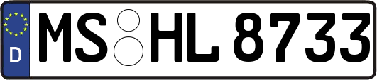 MS-HL8733