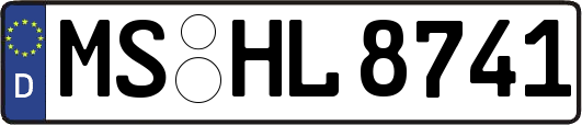 MS-HL8741
