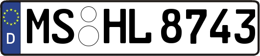 MS-HL8743