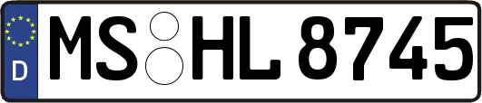 MS-HL8745