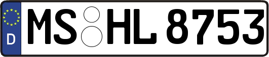 MS-HL8753