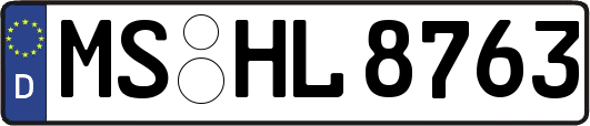 MS-HL8763