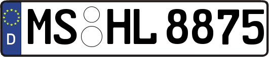 MS-HL8875