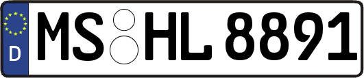 MS-HL8891