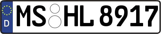 MS-HL8917