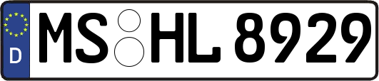 MS-HL8929