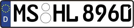 MS-HL8960