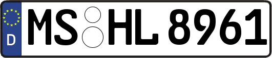 MS-HL8961