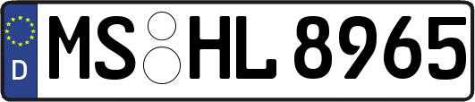 MS-HL8965