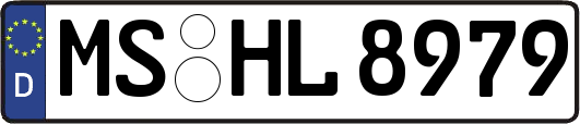 MS-HL8979