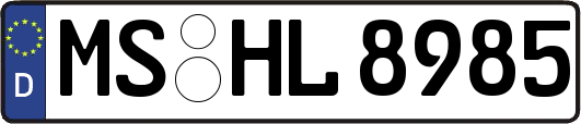 MS-HL8985