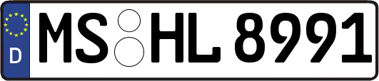 MS-HL8991