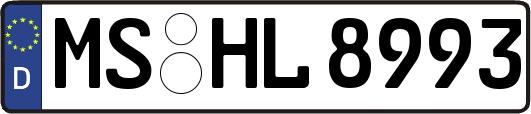 MS-HL8993