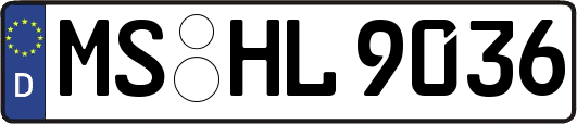 MS-HL9036