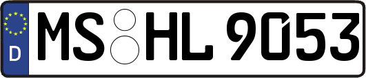 MS-HL9053