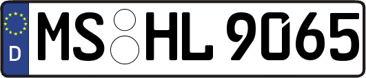 MS-HL9065