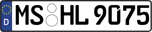 MS-HL9075